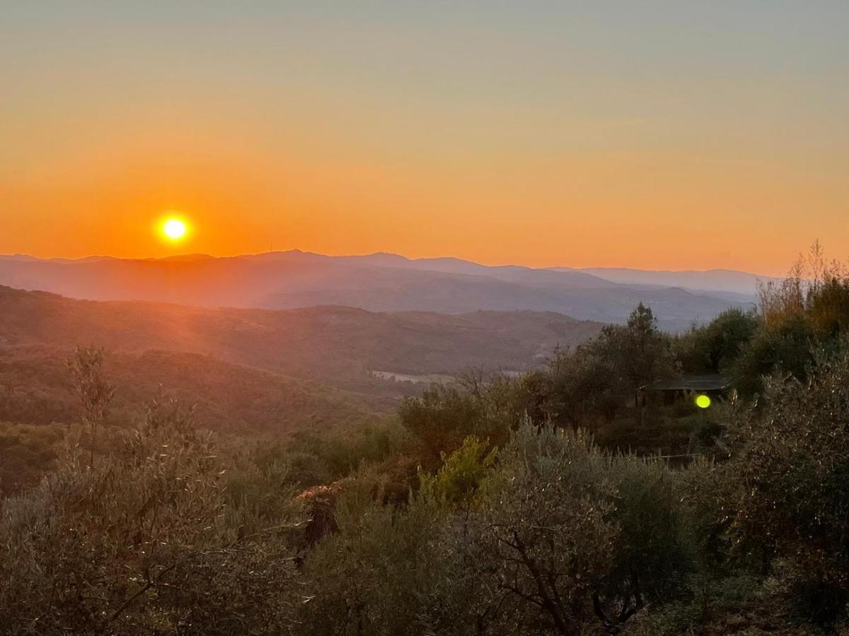 Апартаменты Casa Del Tramonto Чивителла-ин-Валь-ди-Кьяна Экстерьер фото